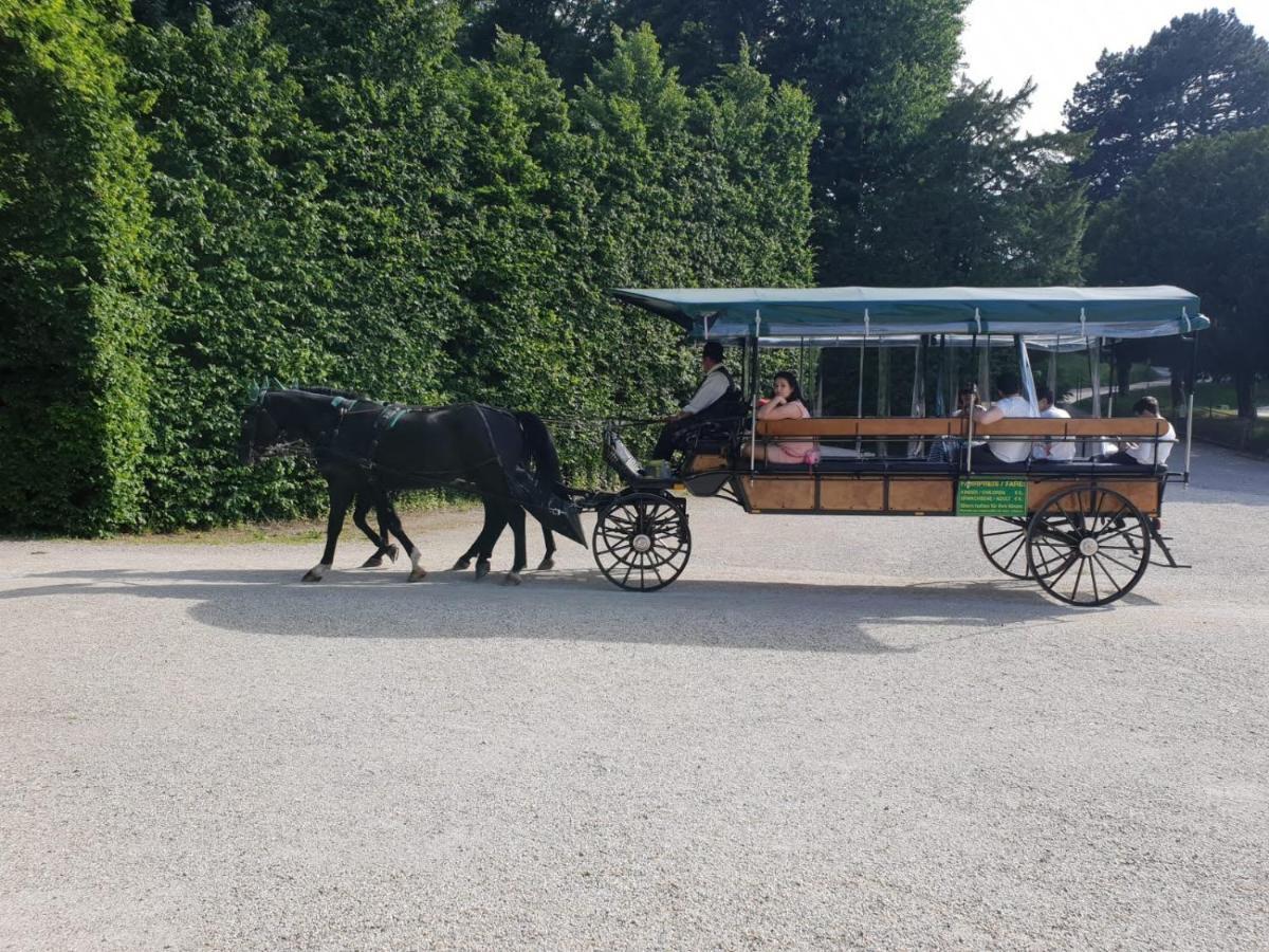 Mauthaus Schonbrunn Apartamento Viena Exterior foto